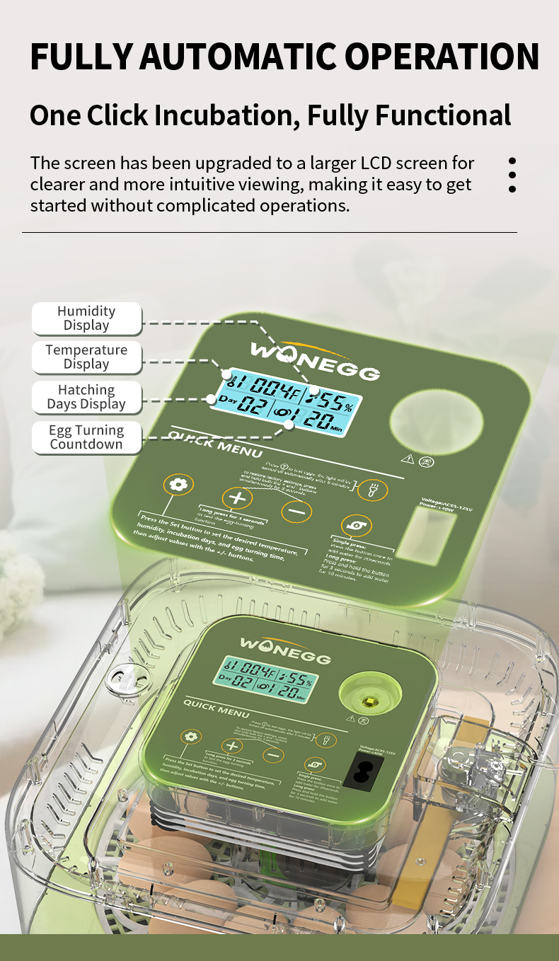 12 egg incubator