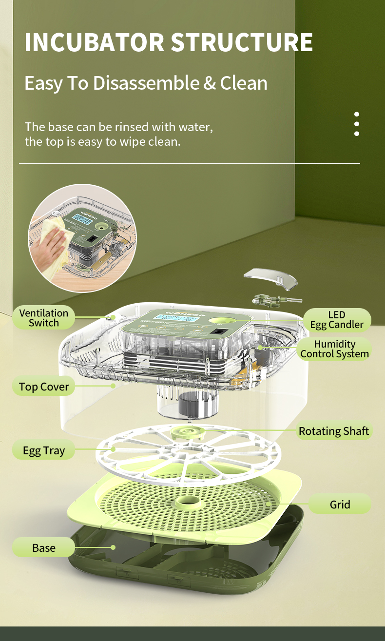 12 egg incubator