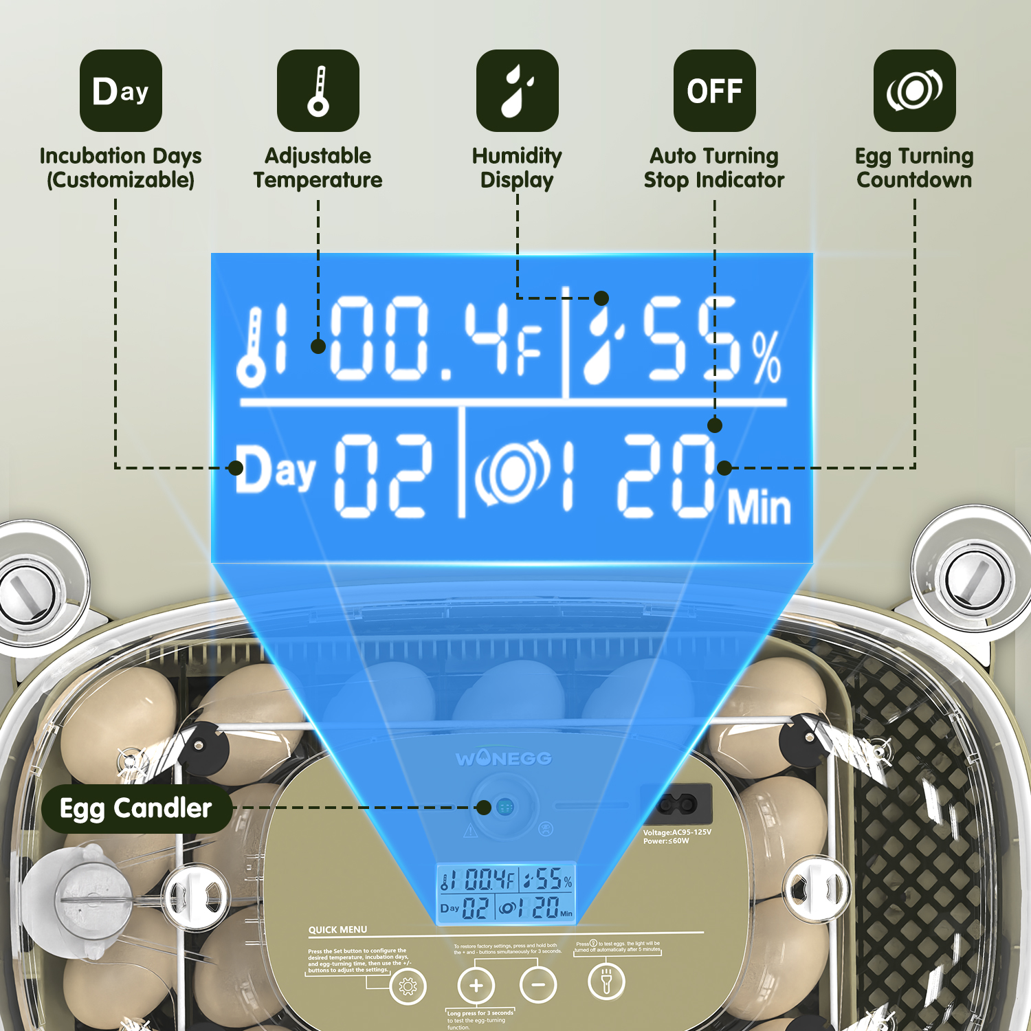 24 egg incubator