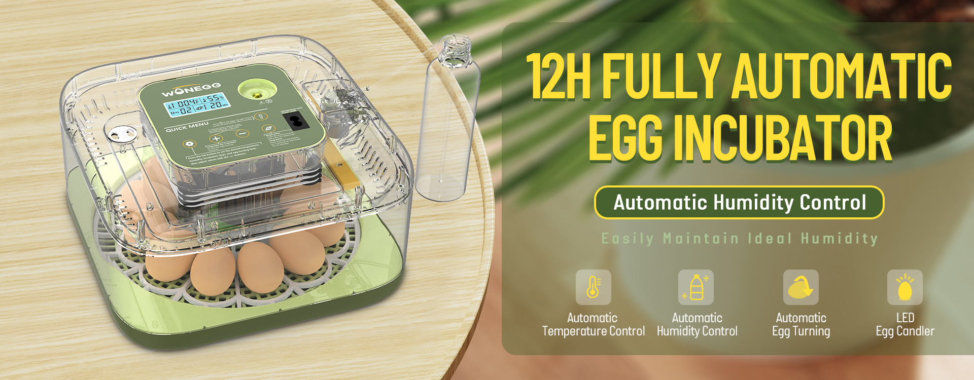 12 EGGS INCUBATOR