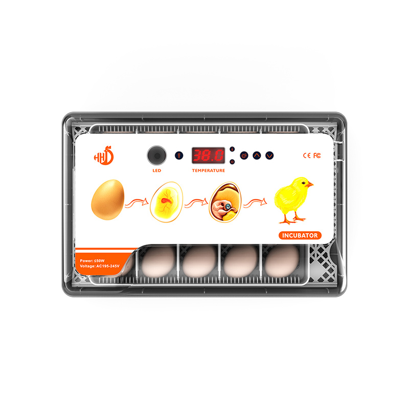 China Chinese Professional Hhd Mini 96 Incubator - Incubator China Chinese Professional Hhd Mini 96 Incubator - Incubator