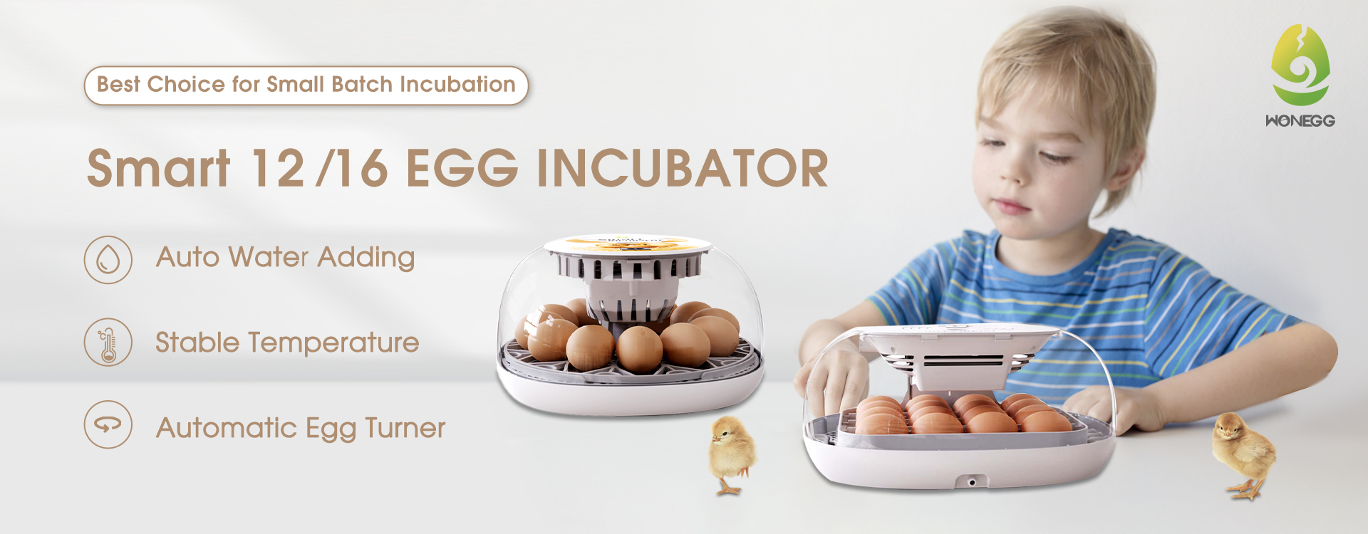 https://www.incubatoregg.com/wonegg-automatic-temperature-control-multi-function-egg-tray-for-12-eggs-incubator-product/