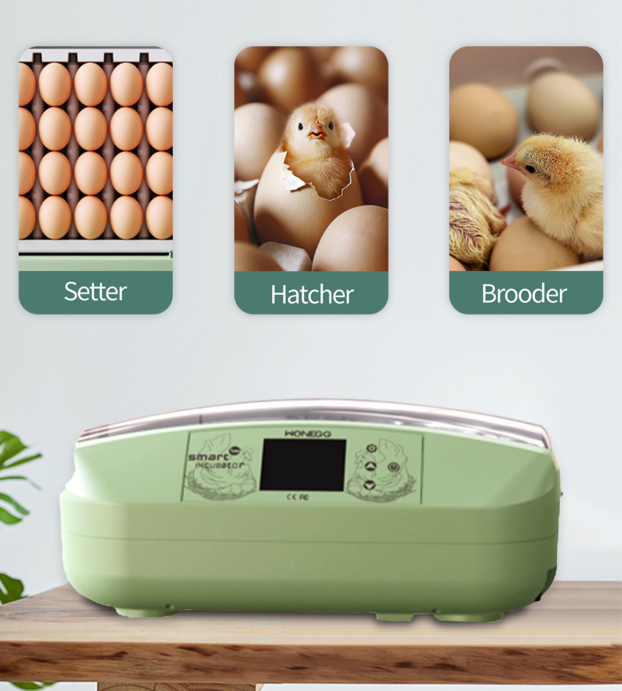 incubator with led phototherapy from top to bottom
100 egg incubator
